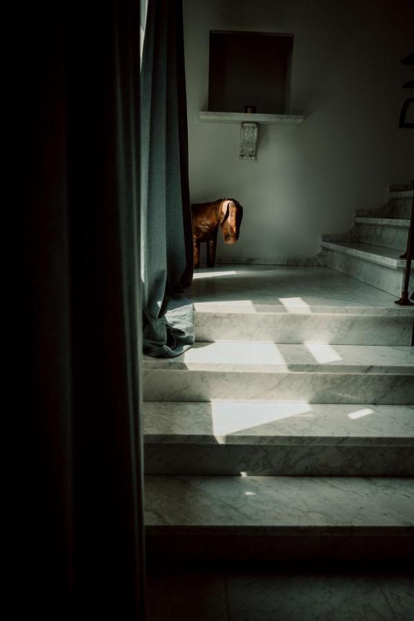 Relais M B&B Frasnes-lez-Anvaing Dış mekan fotoğraf